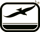 Seagull Logo
